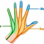 Peripheral Neuropathy Treatment Doctor in India