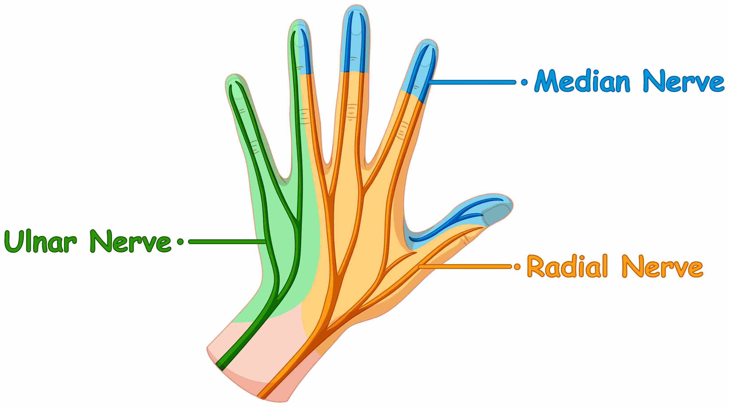 Peripheral Neuropathy Treatment Doctor in India
